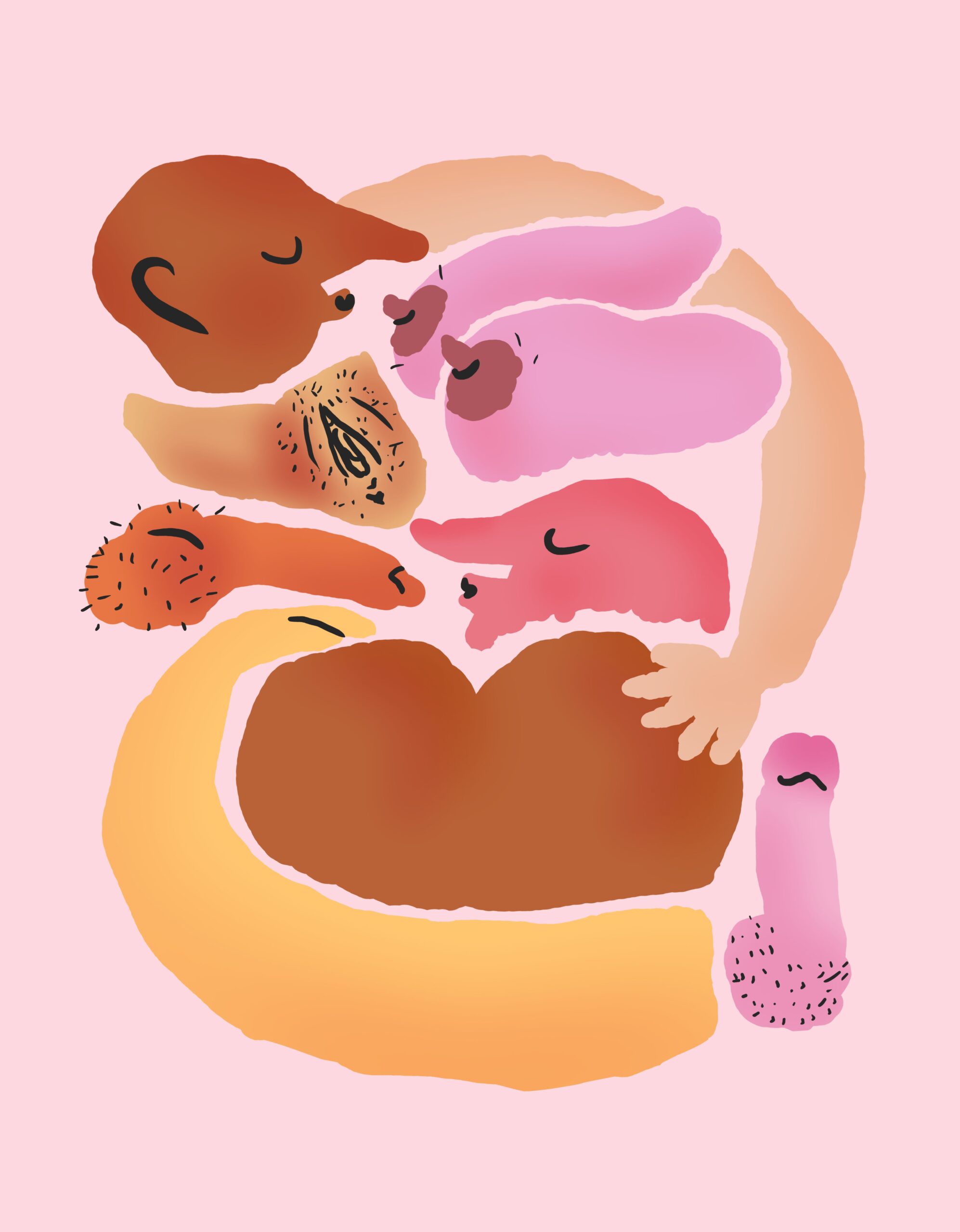 Das Bild zeigt eine bunte Zeichnung von verschiedenen Körperteilen. Man sieht Brüste, Vulva, Penis, Po und Arme. Die Körperteile liegen eng zusammen, wie in einer Umarmung.