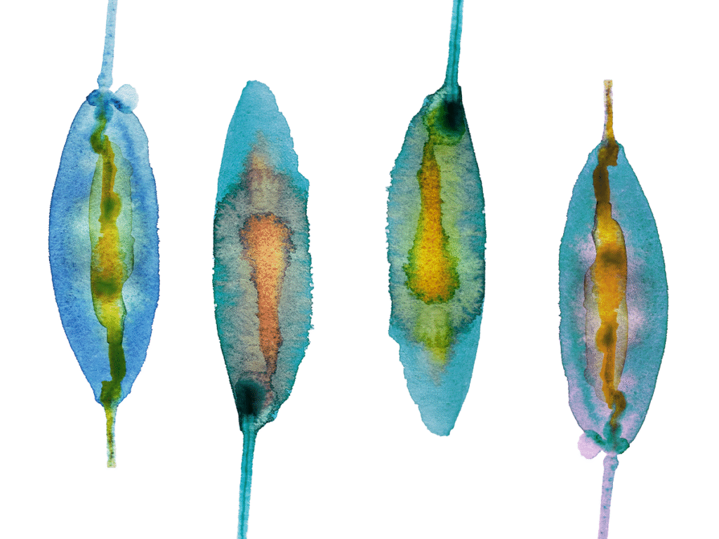 Die Zeichnung zeigt vier große Regentropfen. Sie sind nebeneinander und mit blauen, gelben und lila Aquarellfarben gemalt.