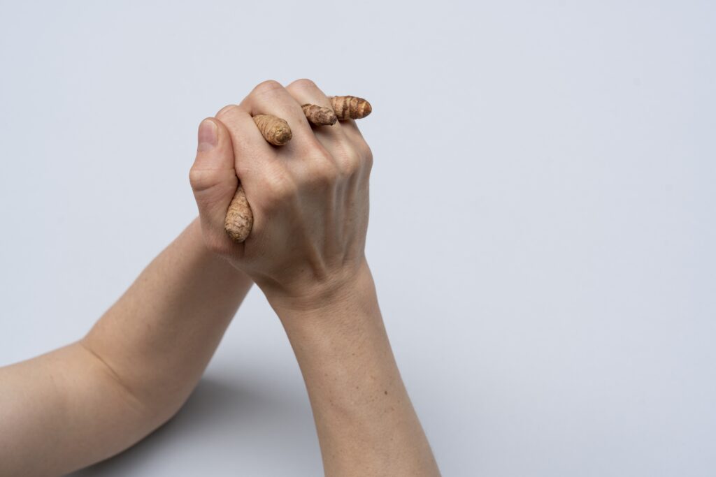 Zwei Hände sind einander verhakt. Die Finger der linken Hand sind Kurkuma-Knollen. Der Hintergrund ist weiß.